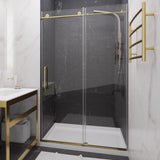 Anzzi Leon Series Frameless Sliding Shower Door (48" W x 76" H) with Handle