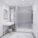 Anzzi Leon Series Frameless Sliding Shower Door (60" W x 76" H) with Handle